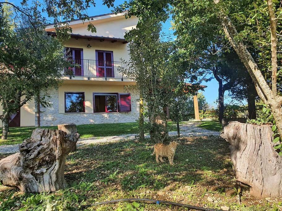 Villa Casolare Brindavan: Un Paradiso Nei Monti Sabini Concerviano Exterior foto